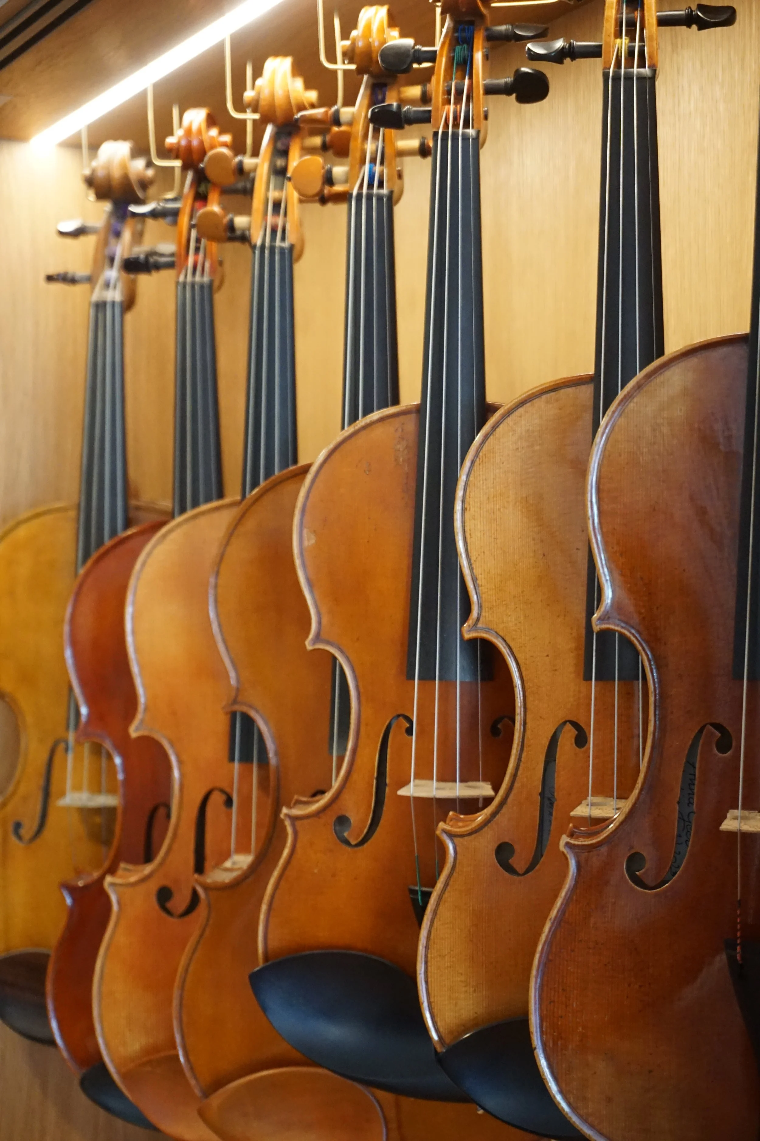 Auswahl an Streichinstrumenten im Atelier Cousins
